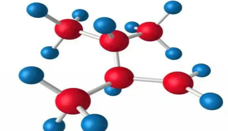 Bioglutide NA-931 DNA | Shaanxi BLOOM Tech Co., Ltd Bioglutide NA-931 DNA | Shaanxi BLOOM Tech Co., Ltd