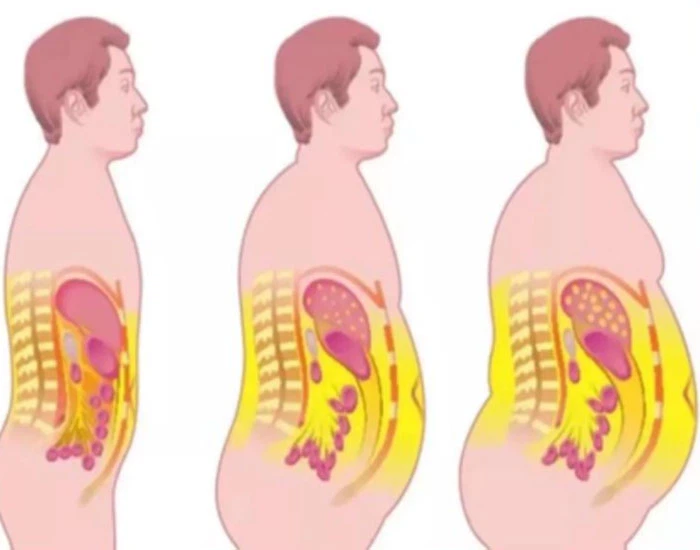 Bioglutide NA-931 Cost | Shaanxi BLOOM Tech Co., Ltd Bioglutide NA-931 Cost | Shaanxi BLOOM Tech Co., Ltd