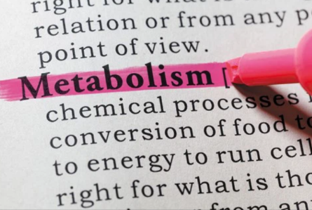 SLU-PP-332 Buy | Shaanxi BLOOM Tech Co., Ltd SLU-PP-332 Buy | Shaanxi BLOOM Tech Co., Ltd