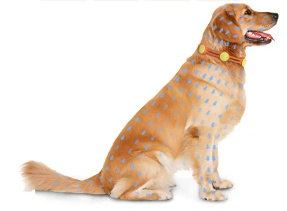 Fluralaner Drops Cost | Shaanxi BLOOM Tech Co., Ltd Fluralaner Drops Cost | Shaanxi BLOOM Tech Co., Ltd