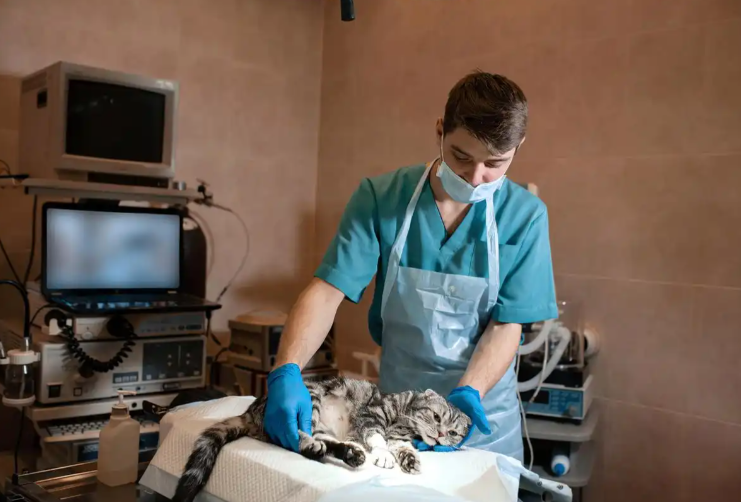 Fluralaner Drops 250mcg | Shaanxi BLOOM Tech Co., Ltd Fluralaner Drops 250mcg | Shaanxi BLOOM Tech Co., Ltd