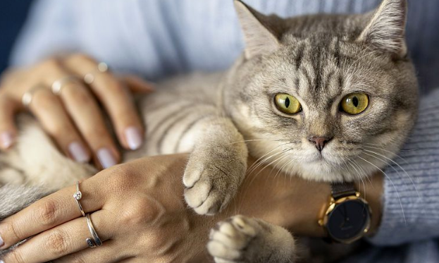 Fluralaner Online | Shaanxi BLOOM Tech Co., Ltd Fluralaner Online | Shaanxi BLOOM Tech Co., Ltd