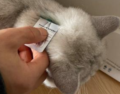 Fluralaner Cost | Shaanxi BLOOM Tech Co., Ltd Fluralaner Cost | Shaanxi BLOOM Tech Co., Ltd