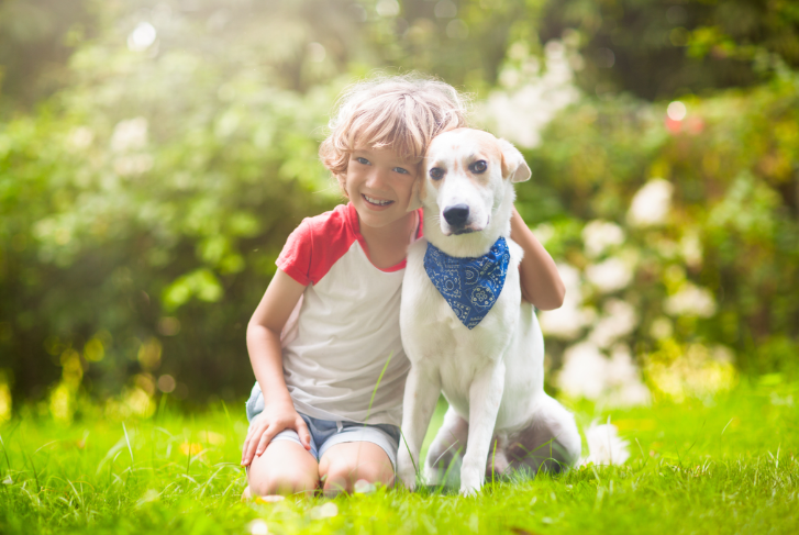 Fluralaner Price | Shaanxi BLOOM Tech Co., Ltd Fluralaner Price | Shaanxi BLOOM Tech Co., Ltd