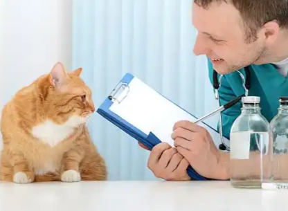 GS-441524 250mcg | Shaanxi BLOOM Tech Co., Ltd GS-441524 250mcg | Shaanxi BLOOM Tech Co., Ltd