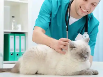 GS-441524 For sale | Shaanxi BLOOM Tech Co., Ltd GS-441524 For sale | Shaanxi BLOOM Tech Co., Ltd