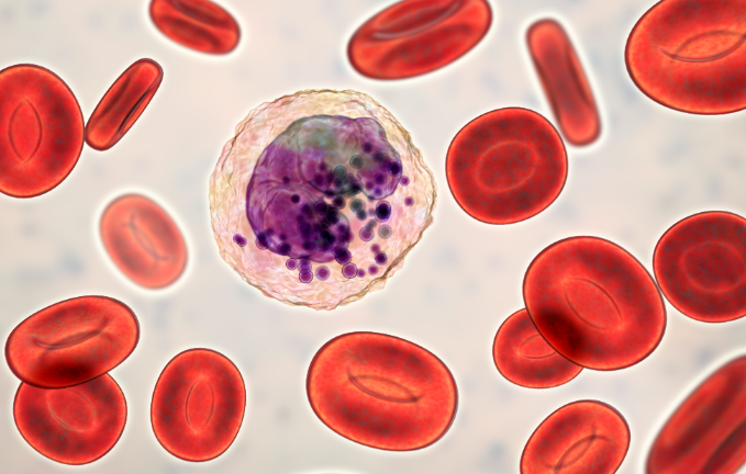 Spermidine Buy | Shaanxi BLOOM Tech Co., Ltd Spermidine Buy | Shaanxi BLOOM Tech Co., Ltd