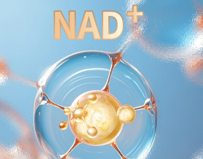 Spermidine For sale | Shaanxi BLOOM Tech Co., Ltd Spermidine For sale | Shaanxi BLOOM Tech Co., Ltd