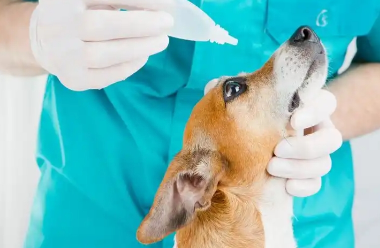 Fluralaner Buy | Shaanxi BLOOM Tech Co., Ltd Fluralaner Buy | Shaanxi BLOOM Tech Co., Ltd