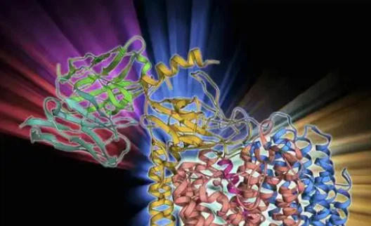 SLU-PP-332 price | Shaanxi BLOOM Tech Co., Ltd SLU-PP-332 price | Shaanxi BLOOM Tech Co., Ltd