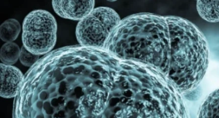 Rifampicin buy | Shaanxi BLOOM Tech Co., Ltd Rifampicin buy | Shaanxi BLOOM Tech Co., Ltd