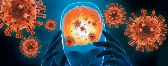 Rifampicin Preventive Effects | Shaanxi BLOOM Tech Co., Ltd Rifampicin Preventive Effects | Shaanxi BLOOM Tech Co., Ltd